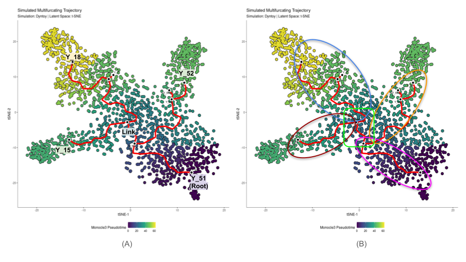 Monocle3_Multi_Branch_tSNE